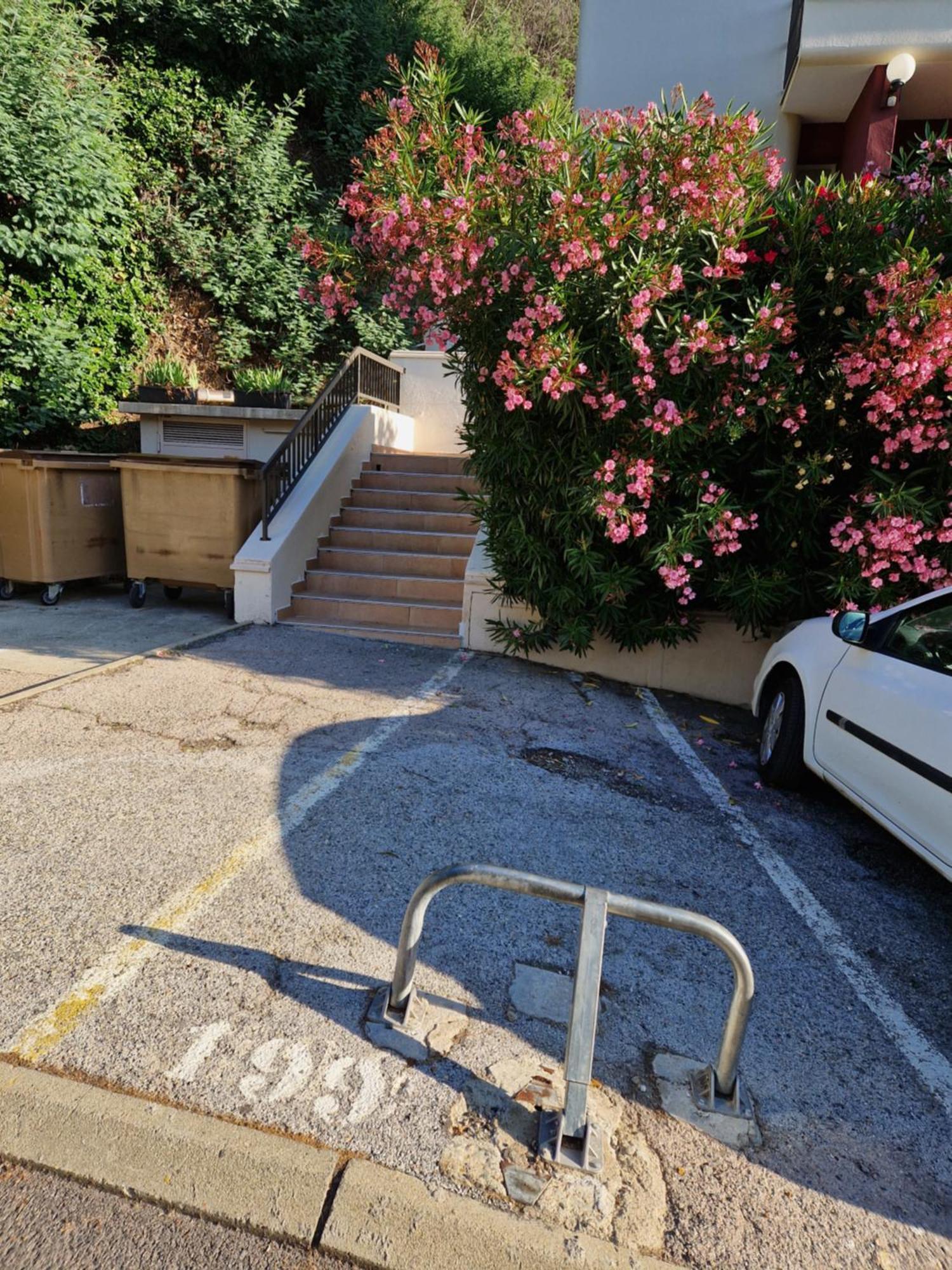 Appartement Amelie Les Bains Au Pied Des Thermes 外观 照片